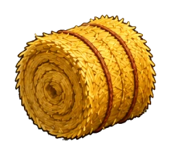 Hay Bale